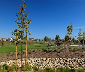 All Seasons Park